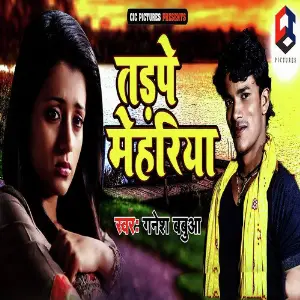 Tadape Mehariya image