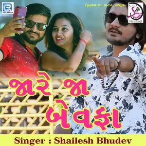 Ja Re Ja Bewafa image