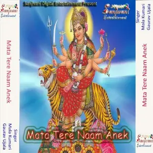 Mata Tere Naam Anek image
