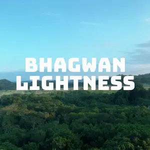 Lightness image
