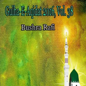 Gulha-e-Aqidat 2016, Vol. 38 image