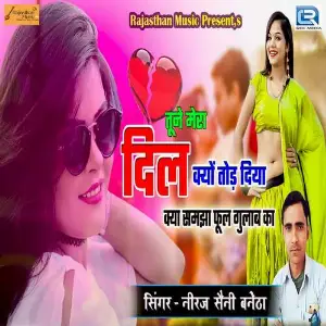 Tune Mera Dil Kyo Tod Diya image
