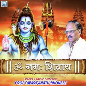 Om Namah Shivay image
