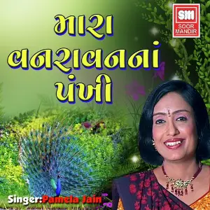 Mara Vanravan Na Pankhi image