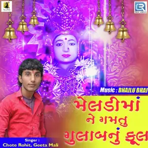 Meldi Maa Ne Gamtu Gulab Nu Ful image