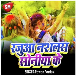 Rajua Misle Ba Soniya Ke (Bhojpuri Holi Song) image