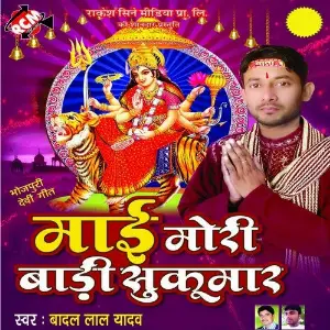 Maai Mori Bari Sukmar image