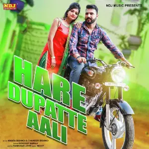 Hare Dupatte Aali image