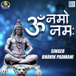 Om Namo Nam image